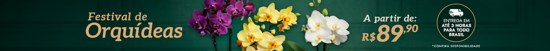 Orquídeas - Middle