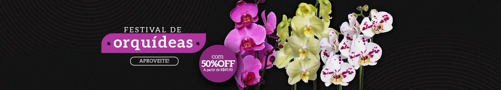 Orquídeas 50% OFF - Super