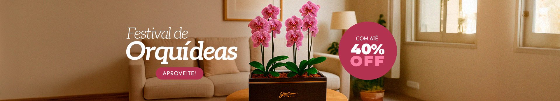 Orquídeas até 40% OFF - Super