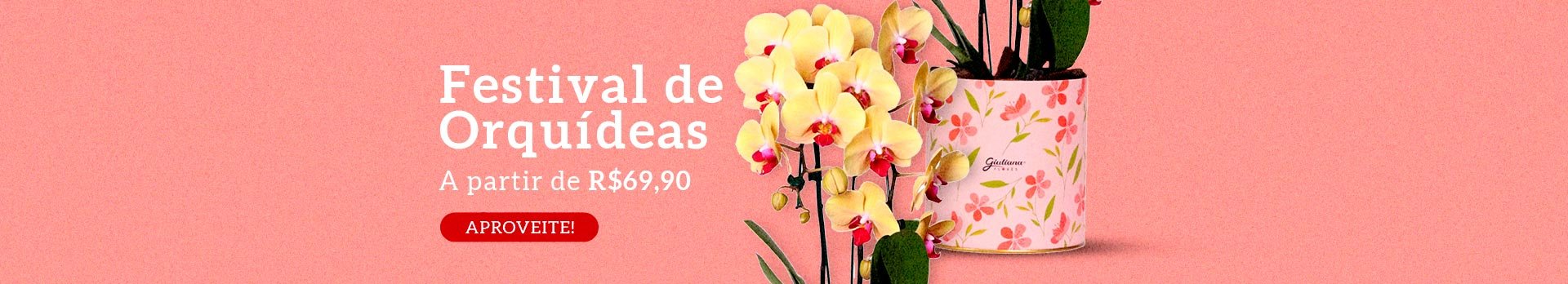 Festival de Orquídea no cachepô R$ 69,90 - Super