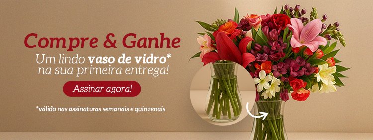 Vaso na Primeira Entrega