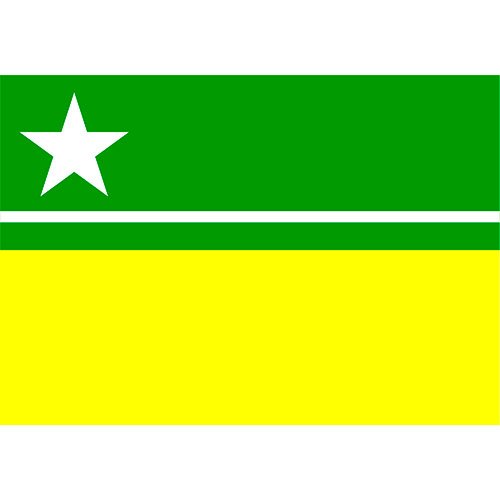 Bandeira-da-Cidade-de-Boa-Vista-RR