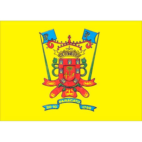 Bandeira-da-Cidade-de-Paracatu-MG