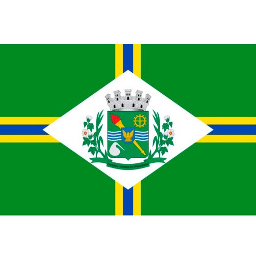 Bandeira-da-Cidade-de-Paulinia-SP