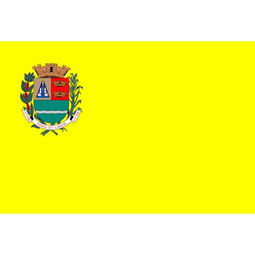 Bandeira-da-Cidade-de-Sertaozinho-SP
