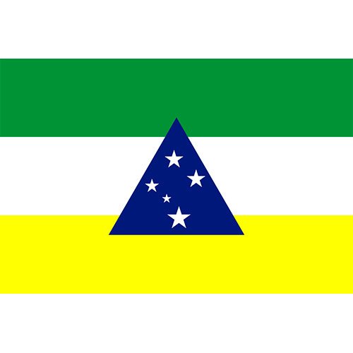 Bandeira-da-Cidade-de-Tefe-AM