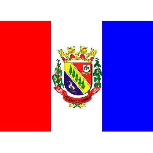 Bandeira-da-Cidade-de-Telemaco-Borba-PR