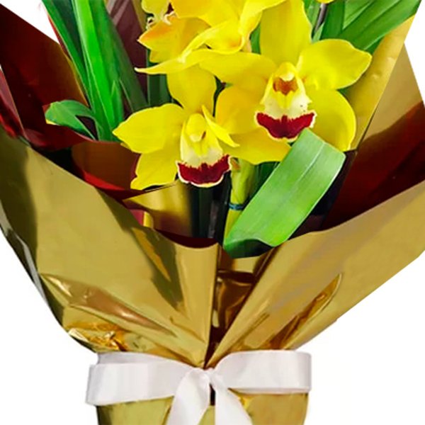 Orquídea Cymbidium Amarela