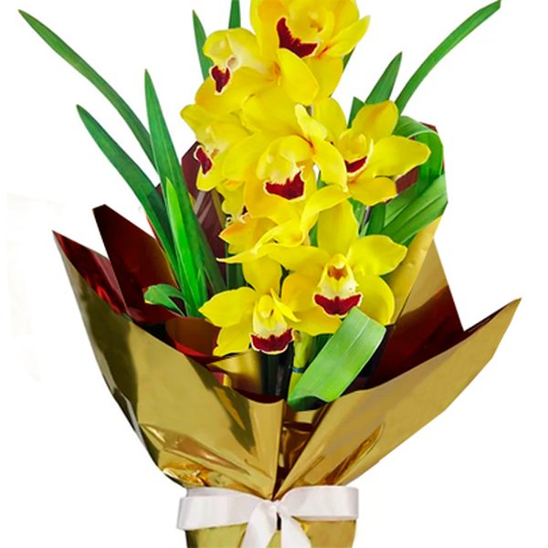 Orquídea Cymbidium Amarela