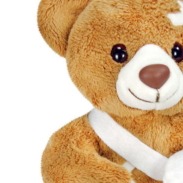 Urso Dodói