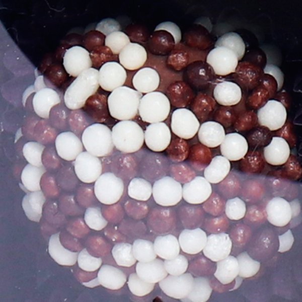 Brigadeiro com Crispie