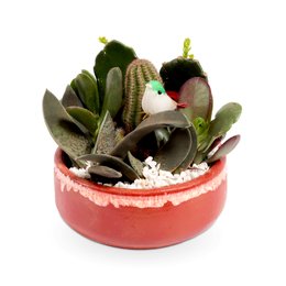 Imagem de Símbolo da Força