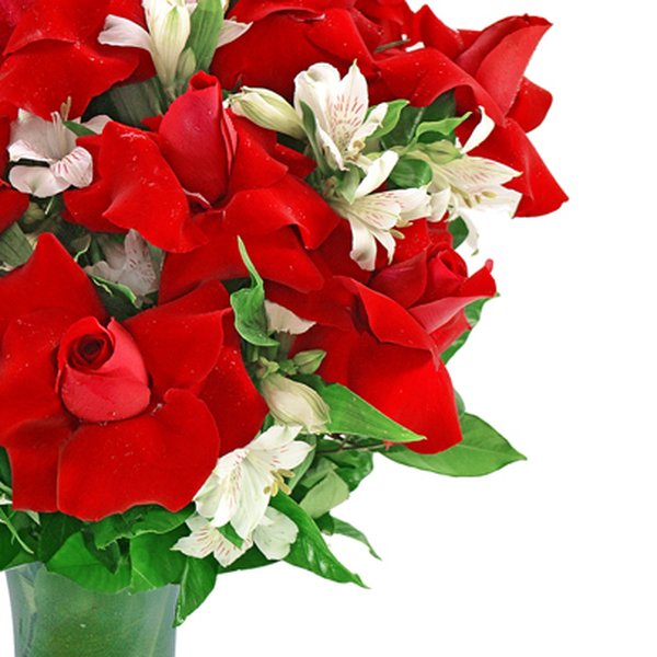 Expressão de Amor Premium