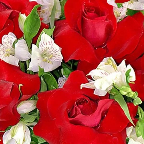 Expressão de Amor