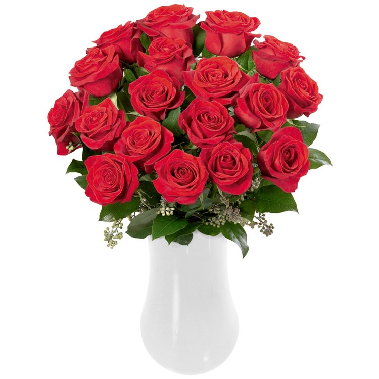 Magníficas Rosas Colombianas Vermelhas