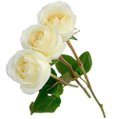 Três Rosas Nacional Brancas
