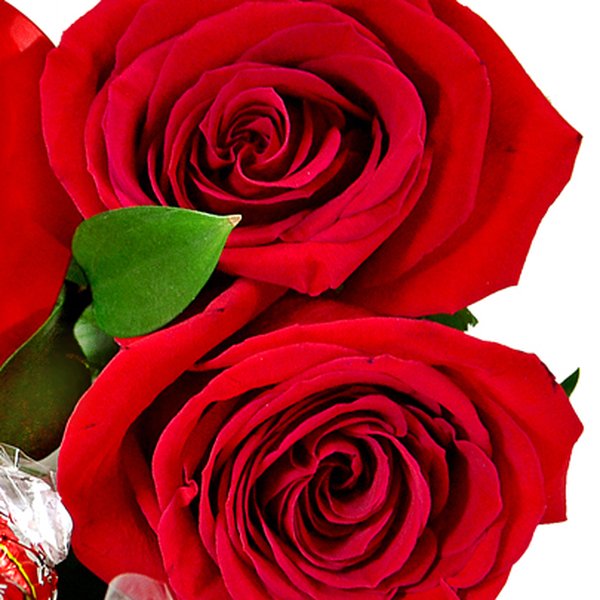 Rosas Vermelhas com Lindt
