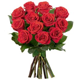 Imagem de Ramalhete de 12 Rosas Colombianas Vermelhas
