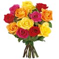 Ramalhete de 12 Rosas Coloridas
