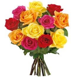 Imagem de Ramalhete de 12 Rosas Coloridas