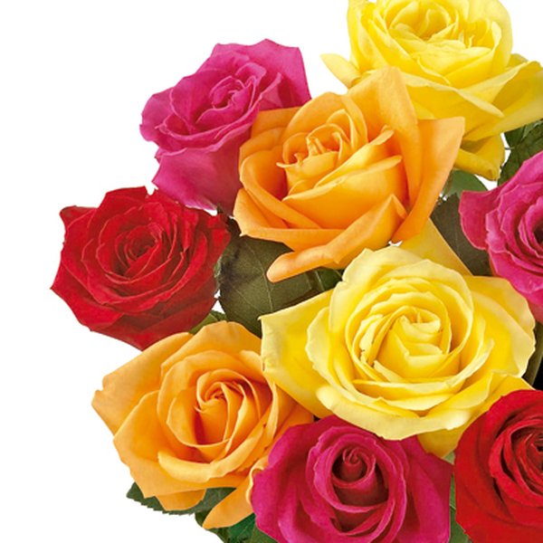 Ramalhete de 12 Rosas Coloridas