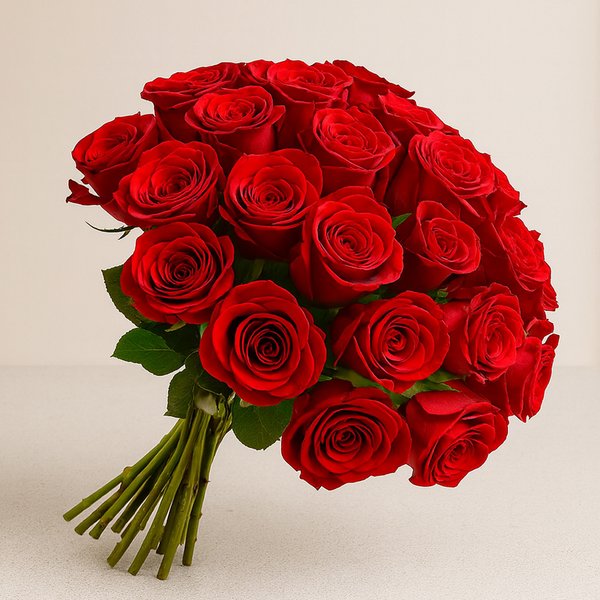 Espetáculo de 24 Rosas Vermelhas