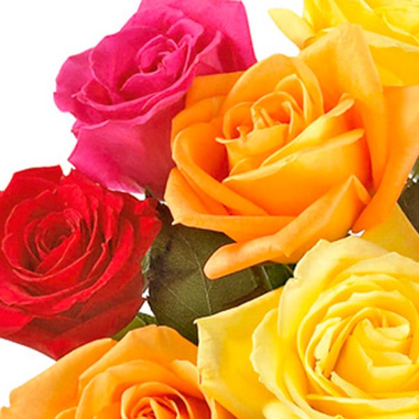 Buquê de 12  Rosas Coloridas com Ferrero Rocher