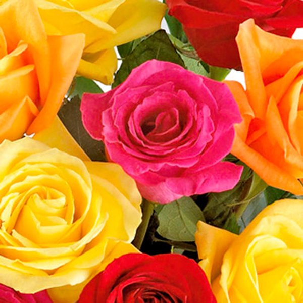 Buquê de 12  Rosas Coloridas com Ferrero Rocher