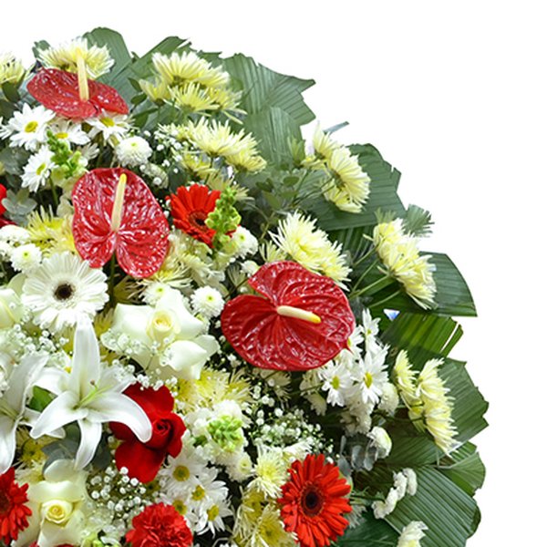 Coroa de Flores Standard Média 4 GF03