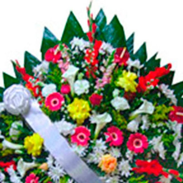 Coroa Esmeralda Média 8