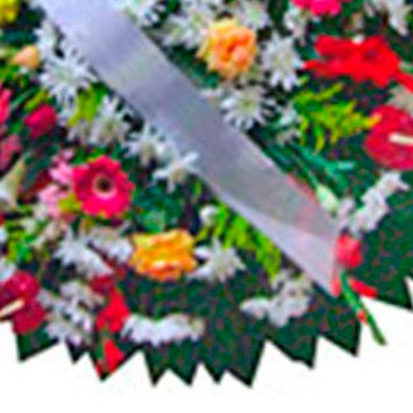 Coroa Esmeralda Média 8