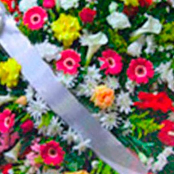 Coroa Esmeralda Média 8