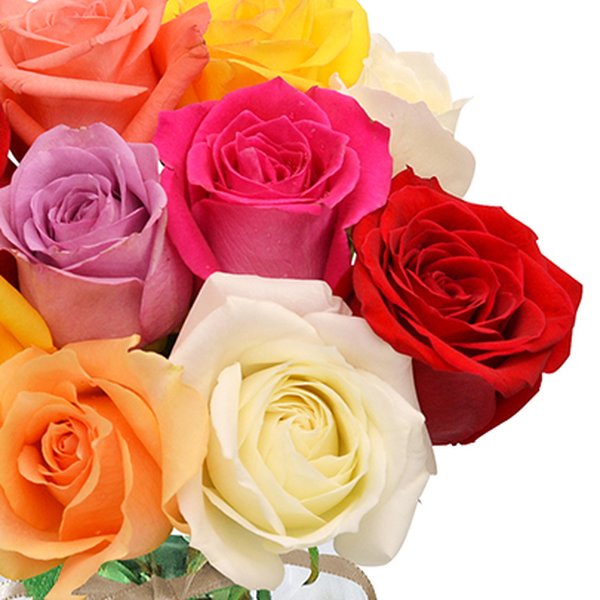 Surpresa de Rosas Coloridas no Vaso