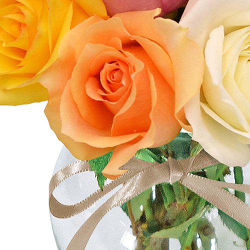 Surpresa de Rosas Coloridas no Vaso