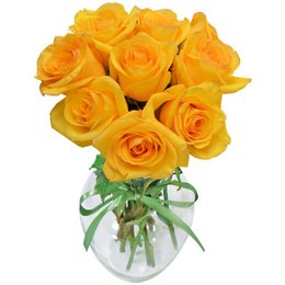 Imagem de Surpresa de Rosas Amarelas no Vaso