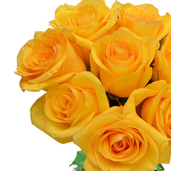 Surpresa de Rosas Amarelas no Vaso