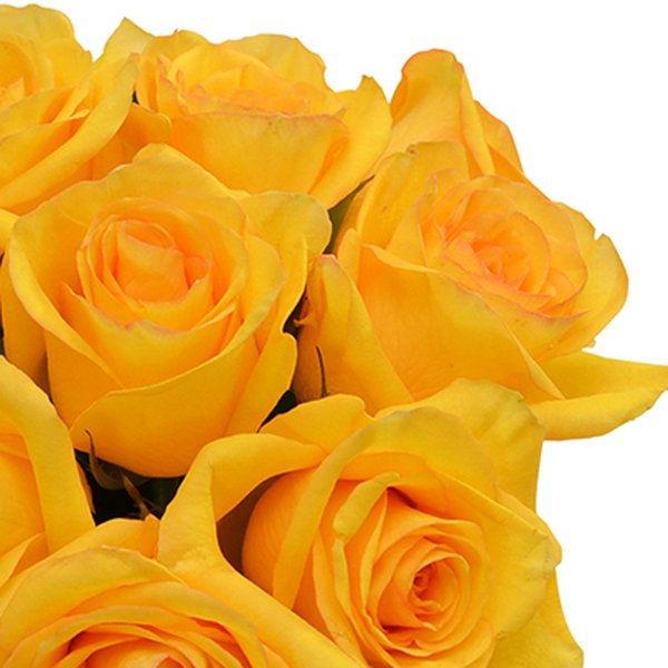 Surpresa de Rosas Amarelas no Vaso