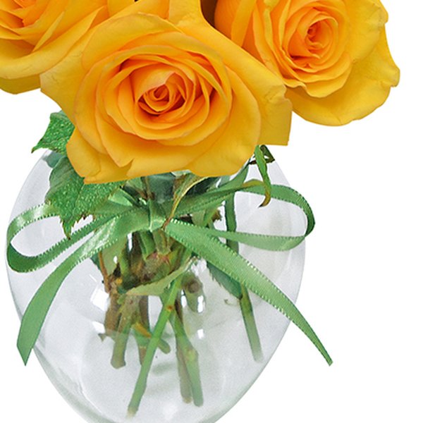 Surpresa de Rosas Amarelas no Vaso
