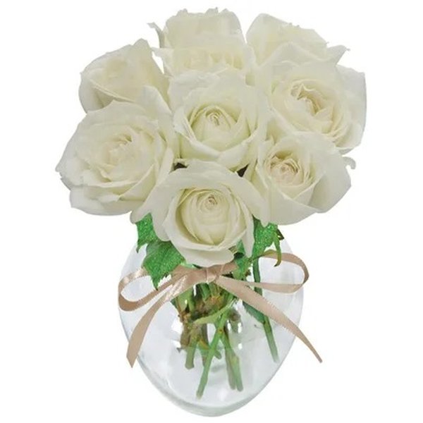 Surpresa de Rosas Brancas no Vaso