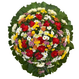 Imagem de Coroa Esmeralda Média Luxo GF01