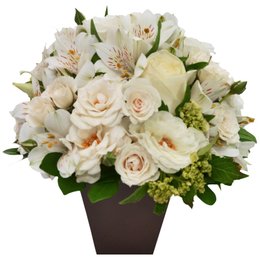 Imagem de O Segredo da Flor Branco