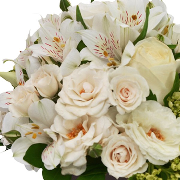 O Segredo da Flor Branco