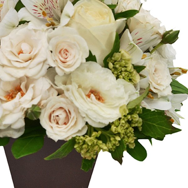 O Segredo da Flor Branco
