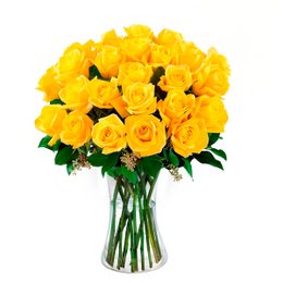 Imagem de Luxuosas 24  Rosas Amarelas no Vaso
