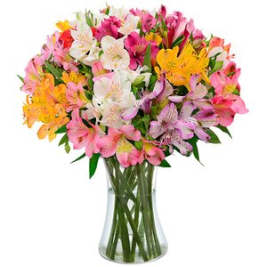 Imagem de Luxuosas Astromélias Coloridas no Vaso