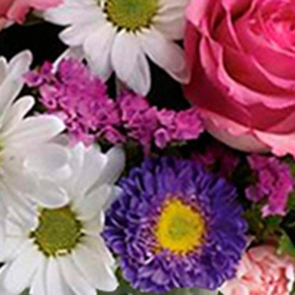 Luxuoso Mix de Flores do Campo no Vaso