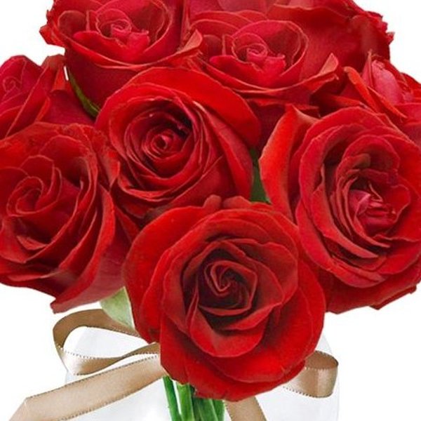 Surpresa de Rosas Vermelhas