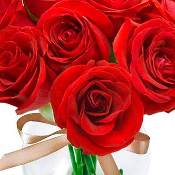 Surpresa de Rosas Vermelhas