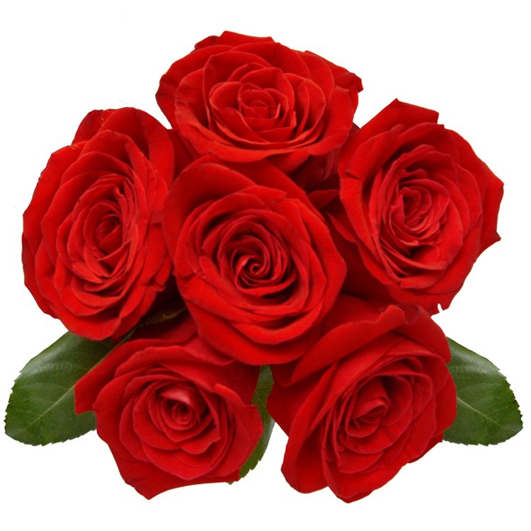 Buquê Luxuosas 6 Rosas Vermelhas
