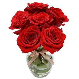 Surpresa de Rosas Vermelhas Colombianas para o Dia dos Namorados
